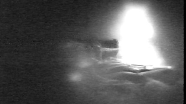 Die appetitliche Hottie Carter hausfrauen für sex Cruise gibt ihren Kopf vor heißem und leidenschaftlichem Sex