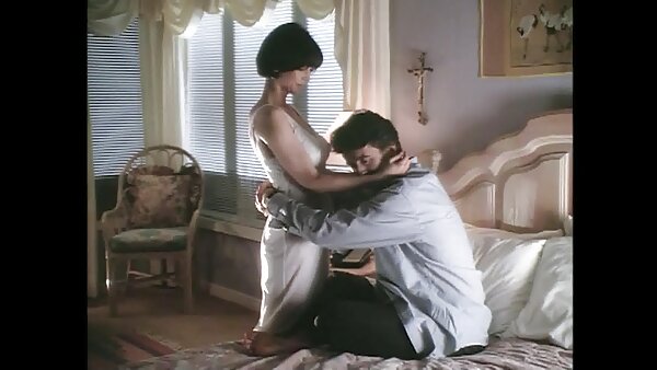 Die unersättliche Brünette Gigi Loren lutscht den leckeren Shlong hausfrauensex privat von Will Powers