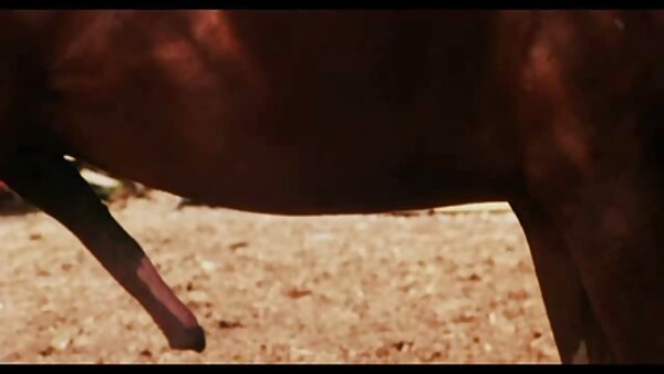 Unersättliche Brünette mit Zöpfen befriedigt deutsche hausfrauen beim sex ihre Muschi mit Glasdildospielzeug